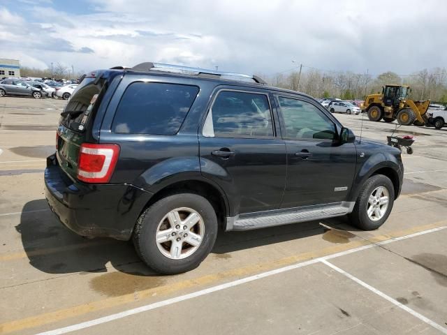 2008 Ford Escape HEV