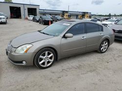 Nissan Maxima se Vehiculos salvage en venta: 2006 Nissan Maxima SE