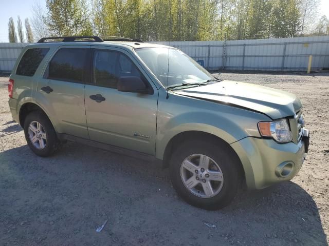 2009 Ford Escape Hybrid