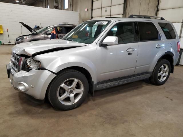 2010 Ford Escape Limited