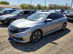 Salvage cars for sale at Columbus, OH auction: 2019 Honda Civic EX