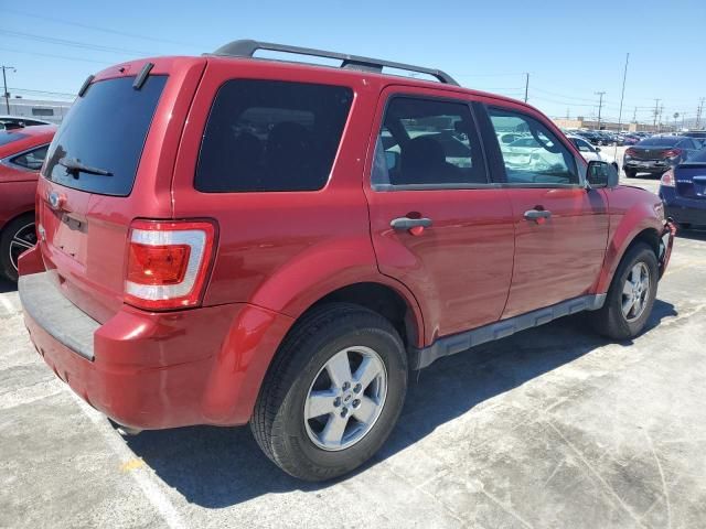 2010 Ford Escape XLT