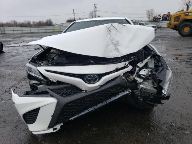 2019 Toyota Camry L