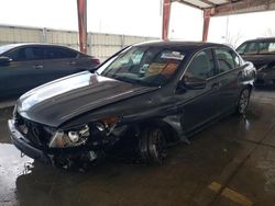 Salvage cars for sale at Homestead, FL auction: 2008 Honda Accord LX