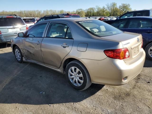 2010 Toyota Corolla Base