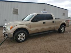 Salvage cars for sale from Copart Mercedes, TX: 2013 Ford F150 Supercrew