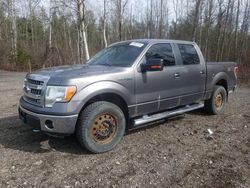 Salvage cars for sale from Copart Bowmanville, ON: 2013 Ford F150 Supercrew
