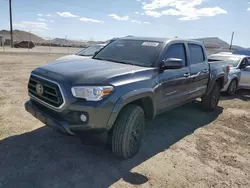 Salvage cars for sale at North Las Vegas, NV auction: 2023 Toyota Tacoma Double Cab