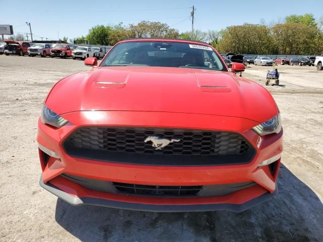 2019 Ford Mustang