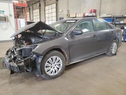 Salvage cars for sale from Copart Blaine, MN: 2014 Toyota Camry L