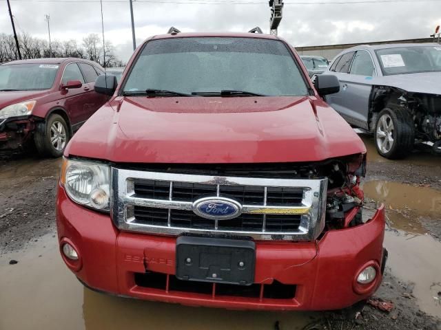 2011 Ford Escape XLT