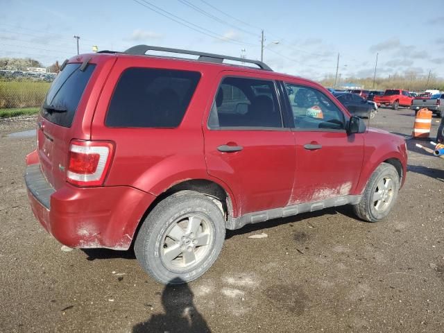 2010 Ford Escape XLT