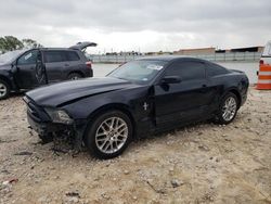 Salvage cars for sale at Haslet, TX auction: 2014 Ford Mustang