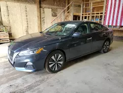 Salvage cars for sale at Rapid City, SD auction: 2021 Nissan Altima SV