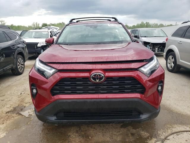 2024 Toyota Rav4 XLE Premium