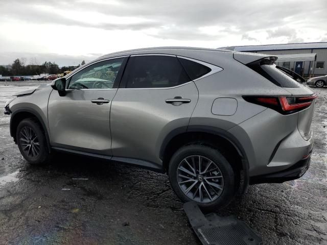 2023 Lexus NX 350