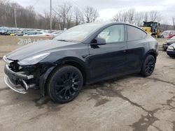 Salvage cars for sale from Copart Marlboro, NY: 2023 Tesla Model Y