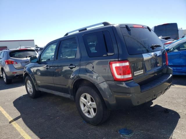 2008 Ford Escape HEV