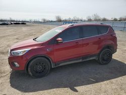 Ford Escape Titanium salvage cars for sale: 2017 Ford Escape Titanium