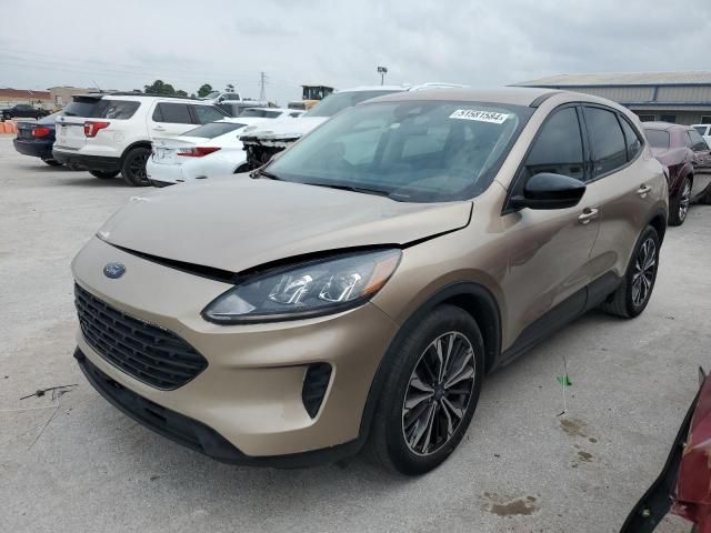 2021 Ford Escape SE