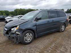 Salvage cars for sale at Conway, AR auction: 2006 Honda Odyssey EXL