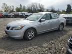 2009 Honda Accord LXP