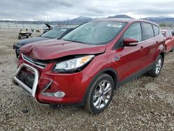 Salvage cars for sale at Magna, UT auction: 2013 Ford Escape SEL