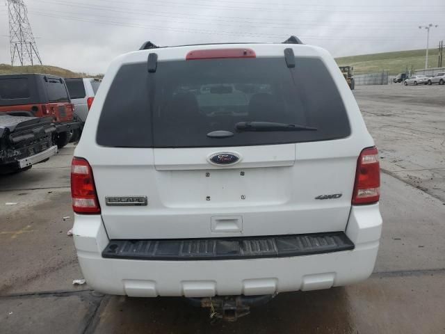 2008 Ford Escape XLT