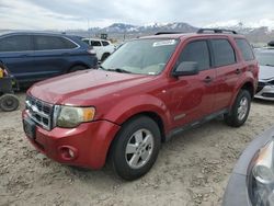 Ford salvage cars for sale: 2008 Ford Escape XLT