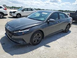Salvage cars for sale from Copart Arcadia, FL: 2023 Hyundai Elantra SEL