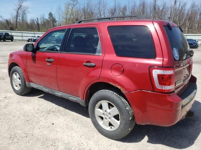 2010 Ford Escape XLT