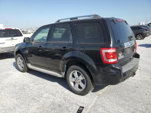 2010 Ford Escape Limited