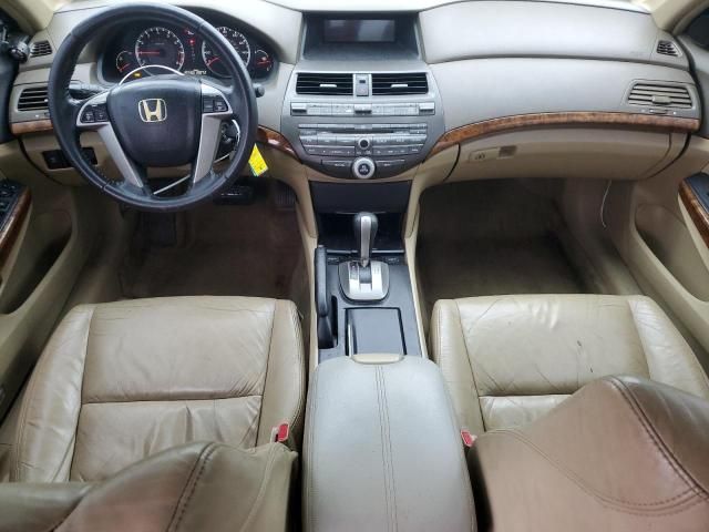 2009 Honda Accord EXL