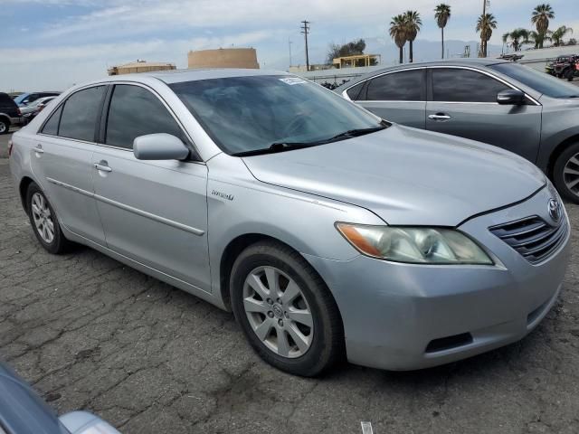 2009 Toyota Camry Hybrid