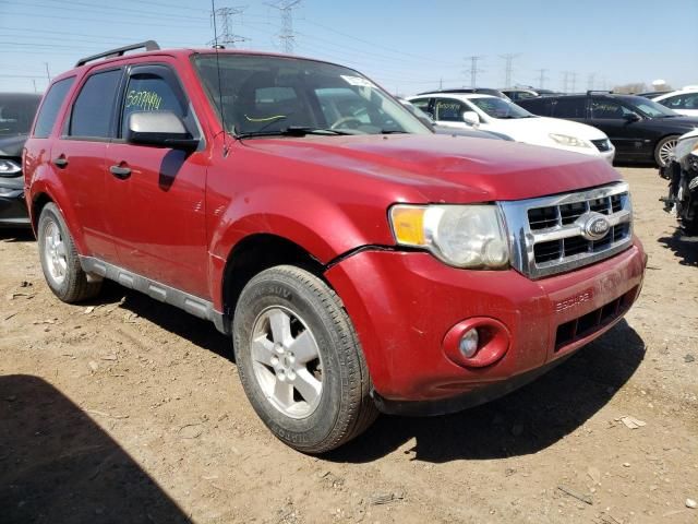 2010 Ford Escape XLT