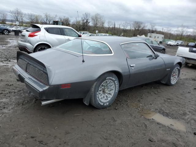 1981 Pontiac Firebird