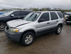 Ford Escape xls salvage cars for sale: 2007 Ford Escape XLS