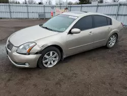 Nissan salvage cars for sale: 2004 Nissan Maxima SE