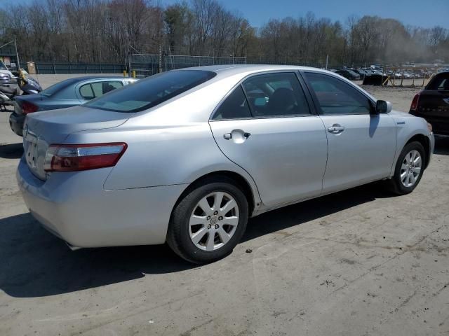 2009 Toyota Camry Hybrid