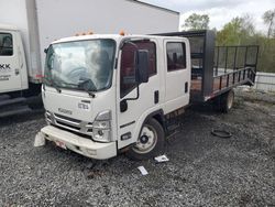 Salvage trucks for sale at Gastonia, NC auction: 2023 Isuzu NPR HD