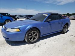 Salvage cars for sale from Copart Arcadia, FL: 2000 Ford Mustang