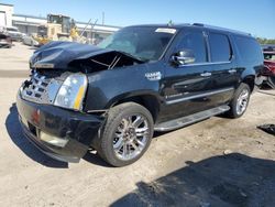 Salvage cars for sale from Copart Harleyville, SC: 2007 Cadillac Escalade ESV