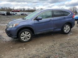 Salvage cars for sale at Hillsborough, NJ auction: 2013 Honda CR-V EXL