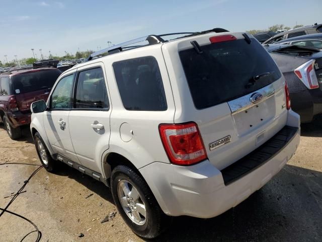 2011 Ford Escape Limited