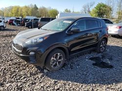 Salvage cars for sale at Pennsburg, PA auction: 2020 KIA Sportage LX