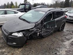 Salvage cars for sale at Graham, WA auction: 2016 Ford Escape SE