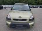 2010 KIA Soul +