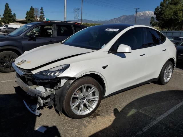 2020 Tesla Model Y