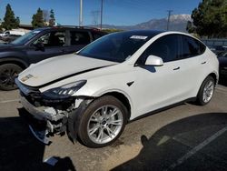 Vehiculos salvage en venta de Copart Rancho Cucamonga, CA: 2020 Tesla Model Y