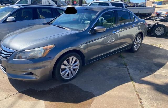 2011 Honda Accord EXL